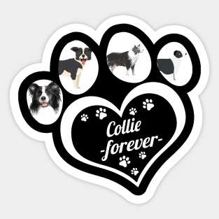 Border Collie forever dog lover Sticker